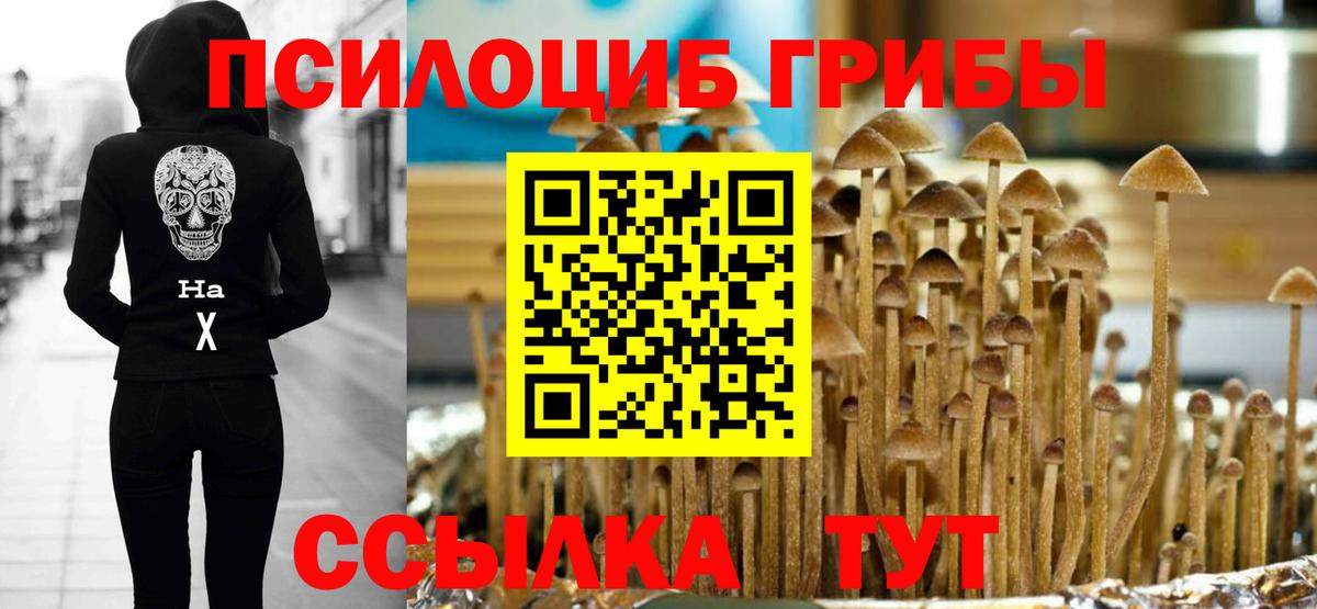 Кимовск  дарнет шоп  Вход с VPN  Псилоцибиновые грибы GOLDEN TEACHER 